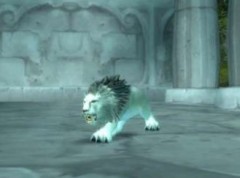 魔兽世界怀旧服贫瘠之地埃其亚基任务怎么做？WOW埃其亚基在哪里？