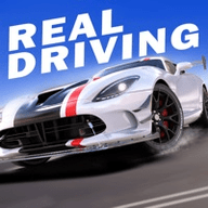 real driving sim汽车版 1.0.0.403.401.0901 安卓版