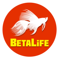 bitlife最新版安卓 2.0 安卓版