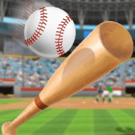 棒球职业比赛 1.0 安卓版
